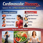 Cardiovascular Diseases: Symptoms, Risks, and How to Strengthen Your Heart Health